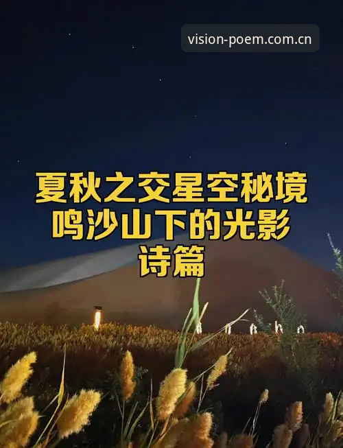 一代人的视觉诗篇官网 星空体育官网 vs 一代人的视觉诗篇官网:两个入口的选择逻辑与体验差异